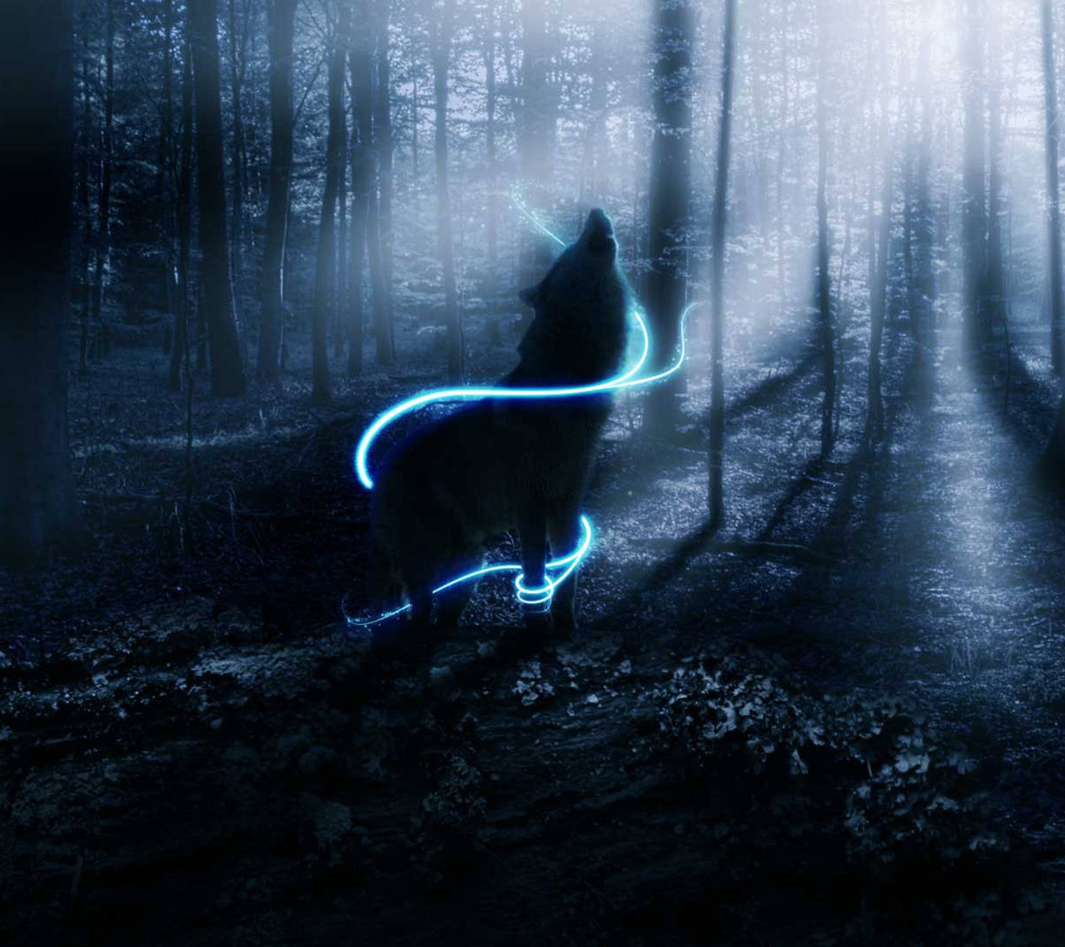 Neon Blue Anime Wolf In Ethereal Forest Wallpaper