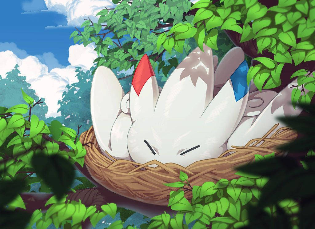 Nesting Togekiss Wallpaper