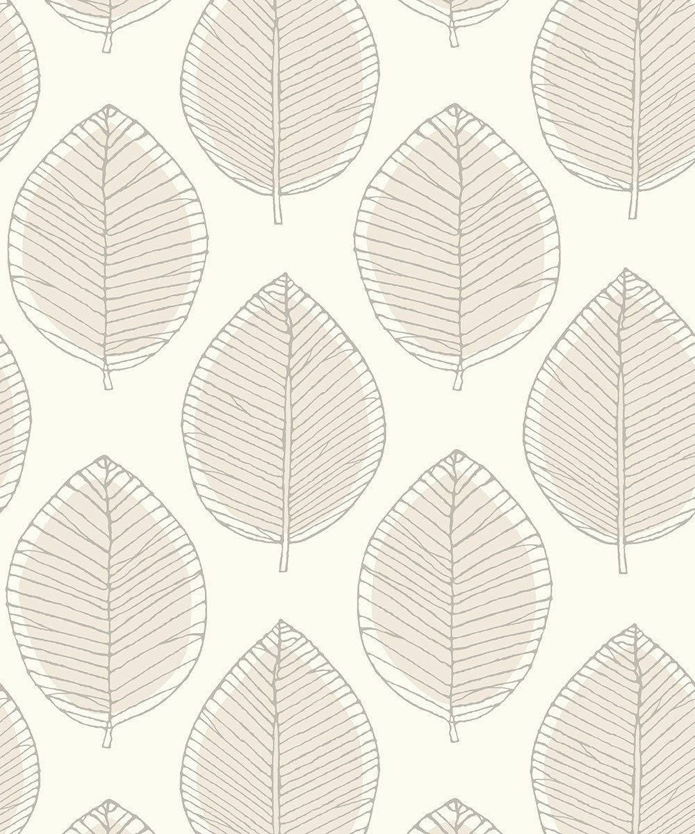 Neutral Iphone Leaf Sketch Wallpaper