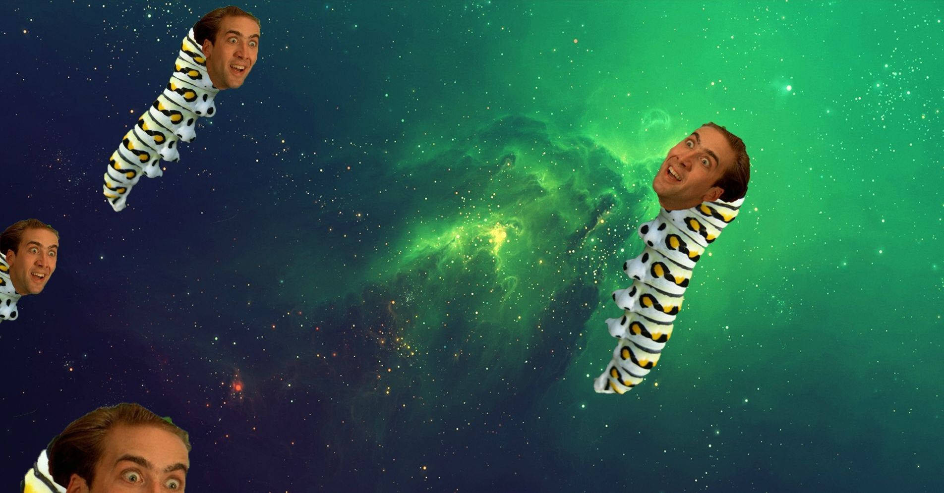 Nicolas Cage Caterpillar Meme Wallpaper