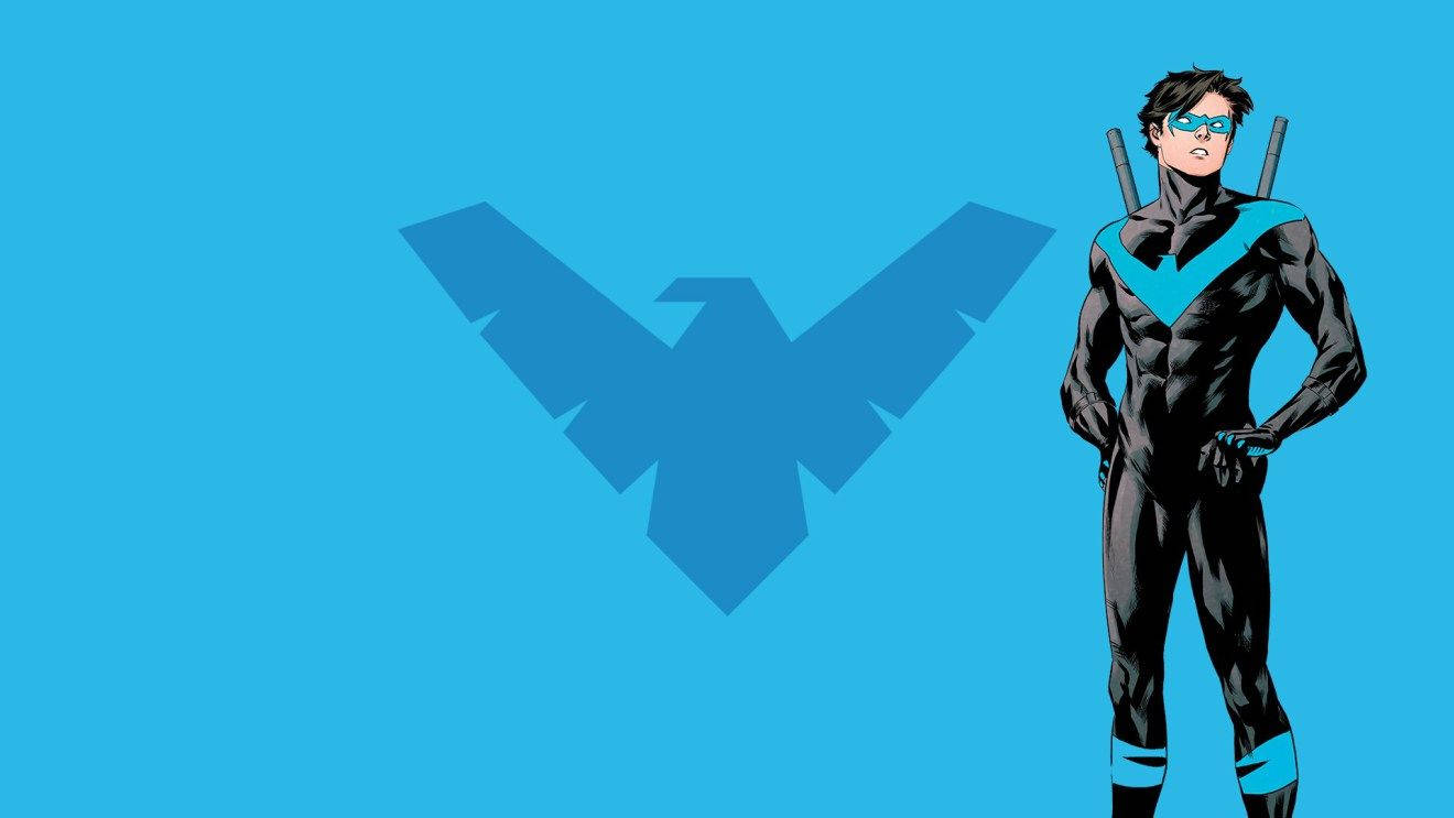 Nightwing In Light Blue Backdrop Wallpaper