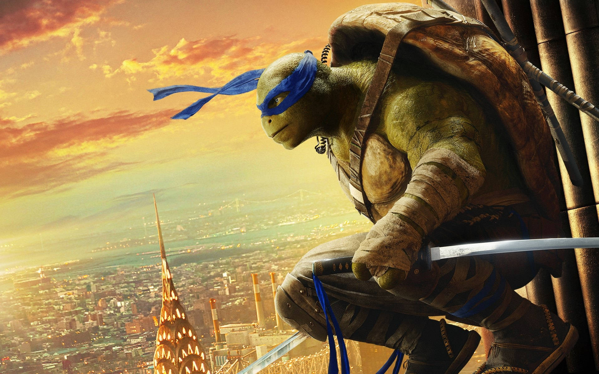 Ninja Turtle Leonardo Watching The City Wallpaper