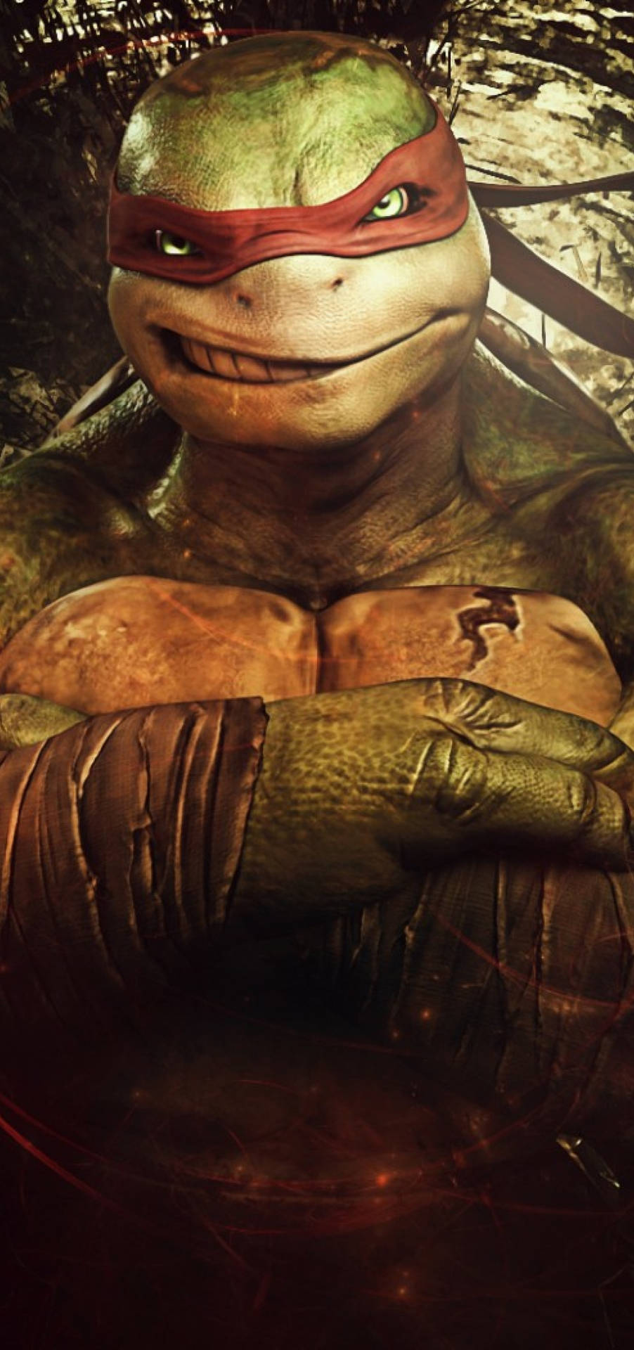 Ninja Turtle Smug Raphael Wallpaper