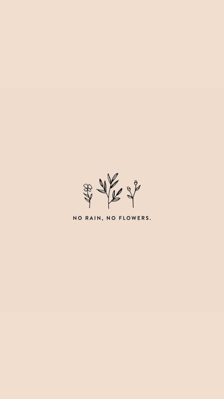No Rain No Flowers Small Quotes Wallpaper