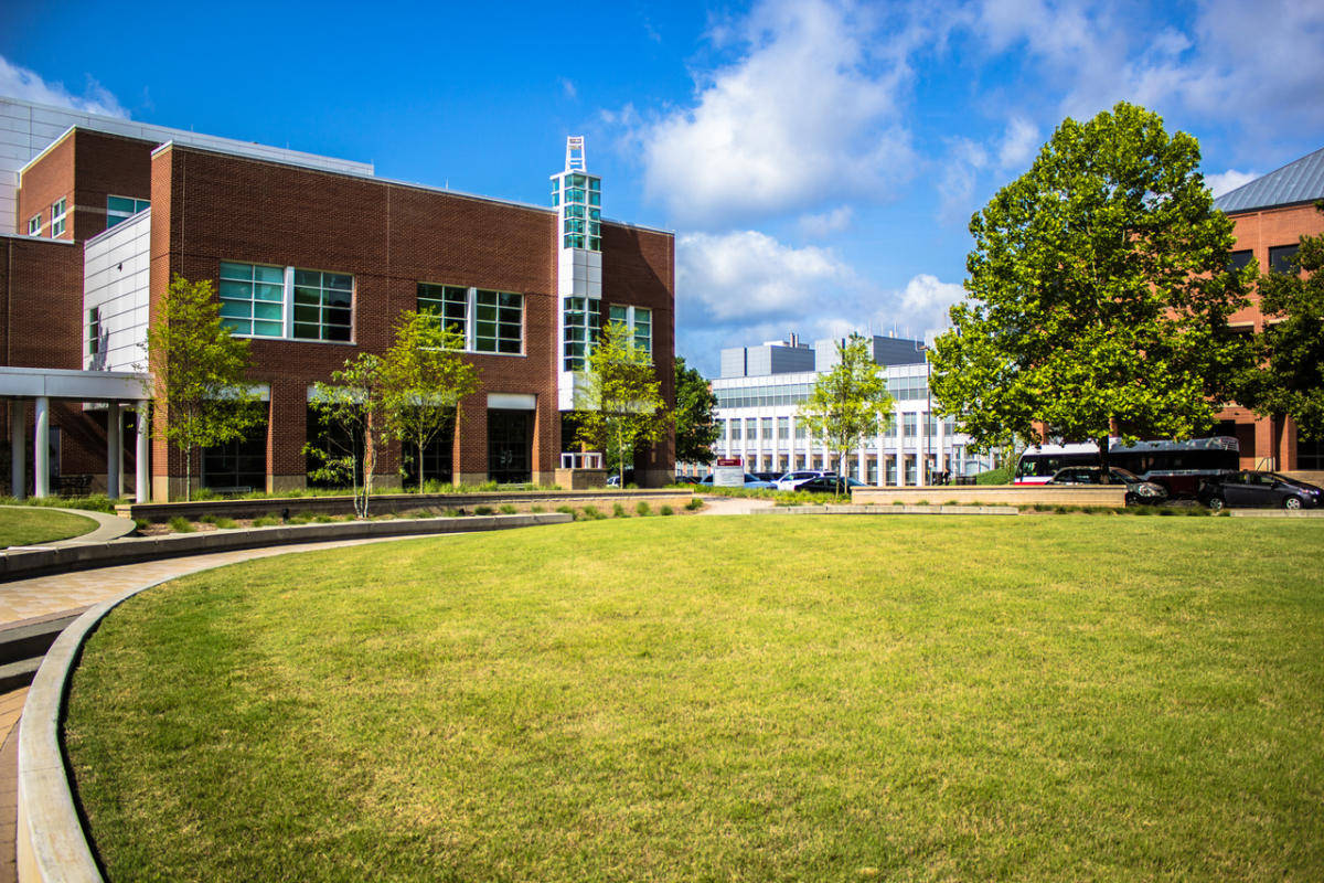 North Carolina State University Grassy Field Wallpaper