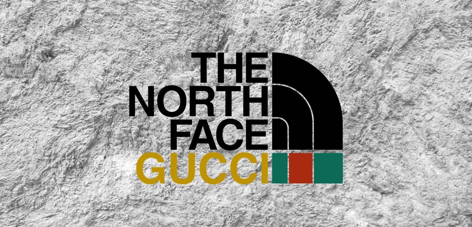 North Face & Gucci Designer Logo Collaboration Wallpaper
