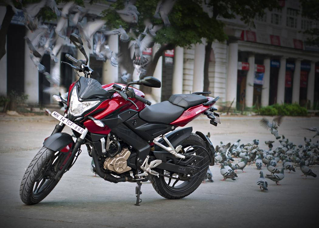 Ns 200 Black And Red Motorcycle Pigeons Wallpaper