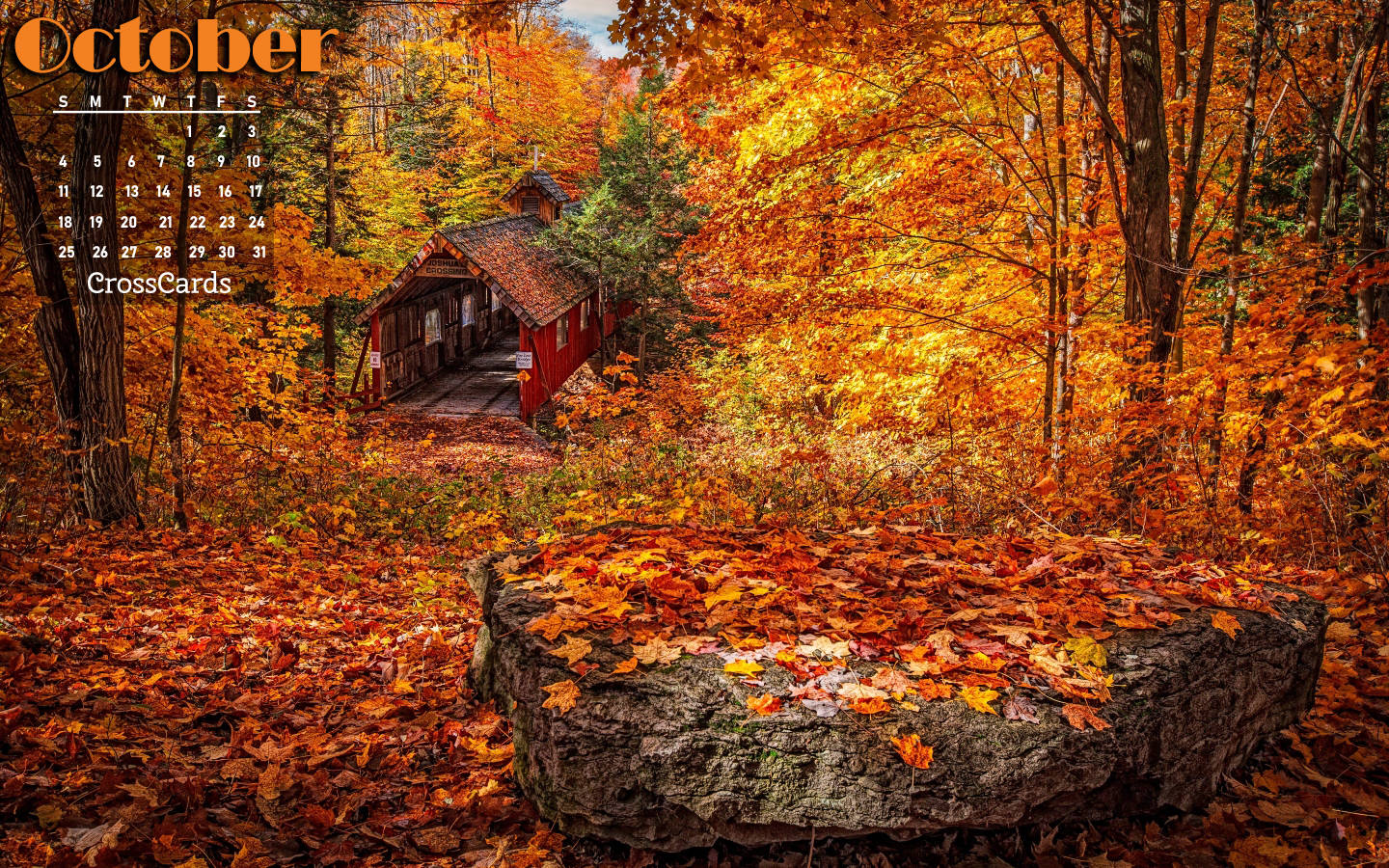 October 2020 Calendar Forest Wallpaper