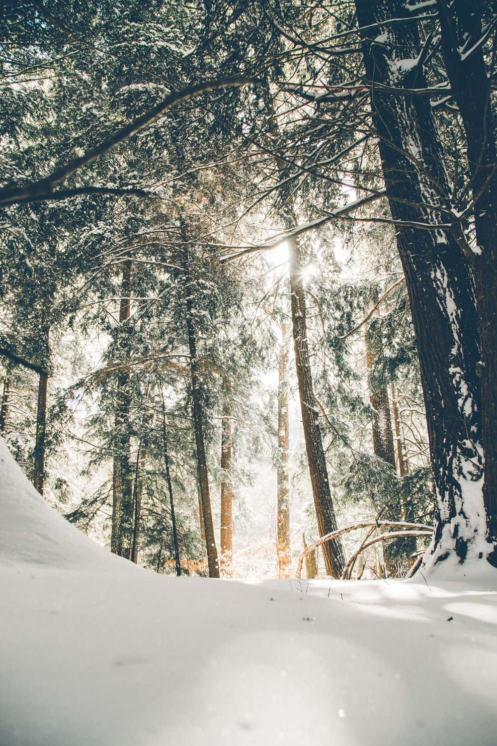 Old Winter Snow Wallpaper