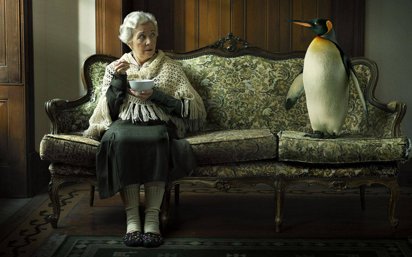 Old Woman And The Penguin Wallpaper