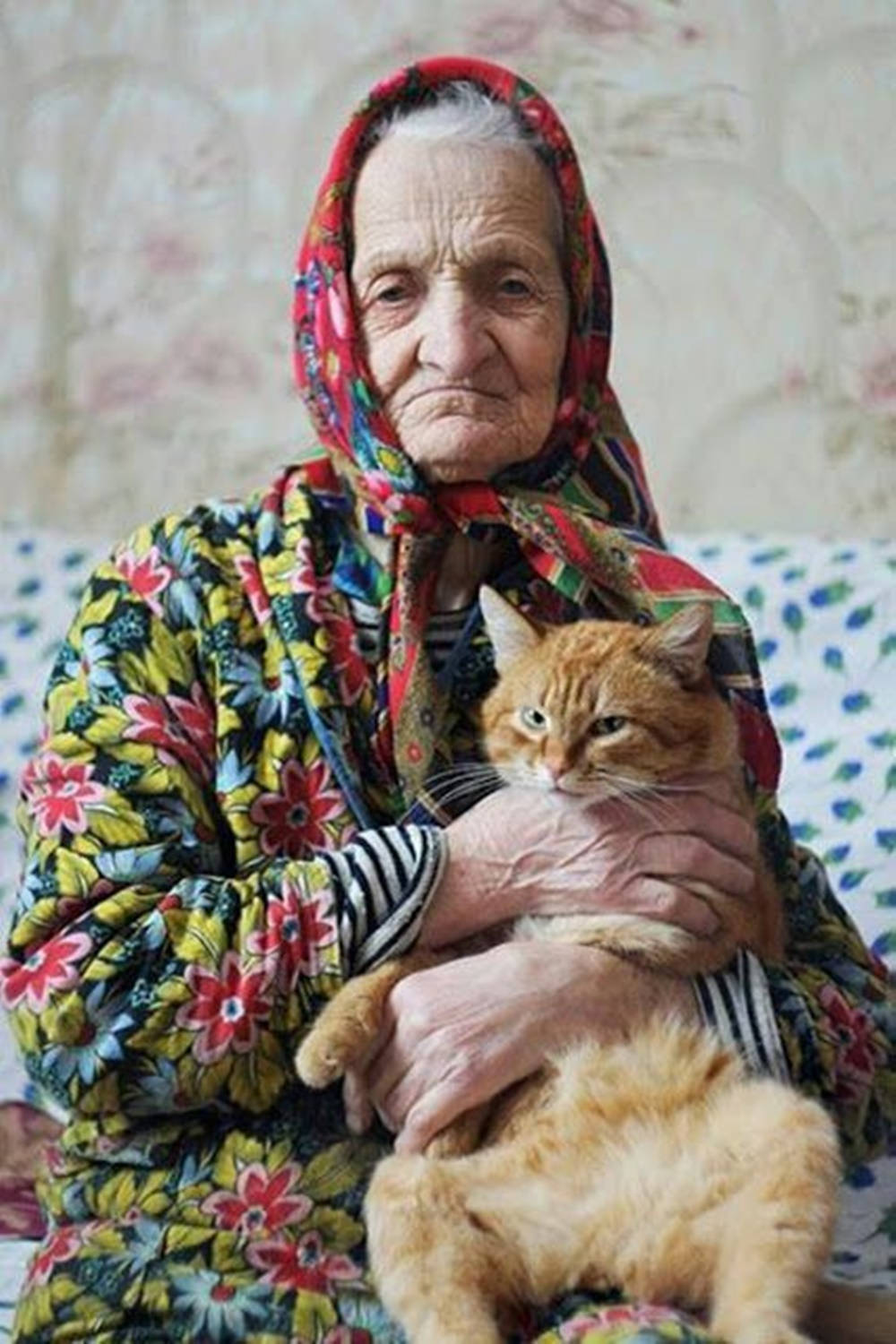 Old Woman With A Cat Wallpaper