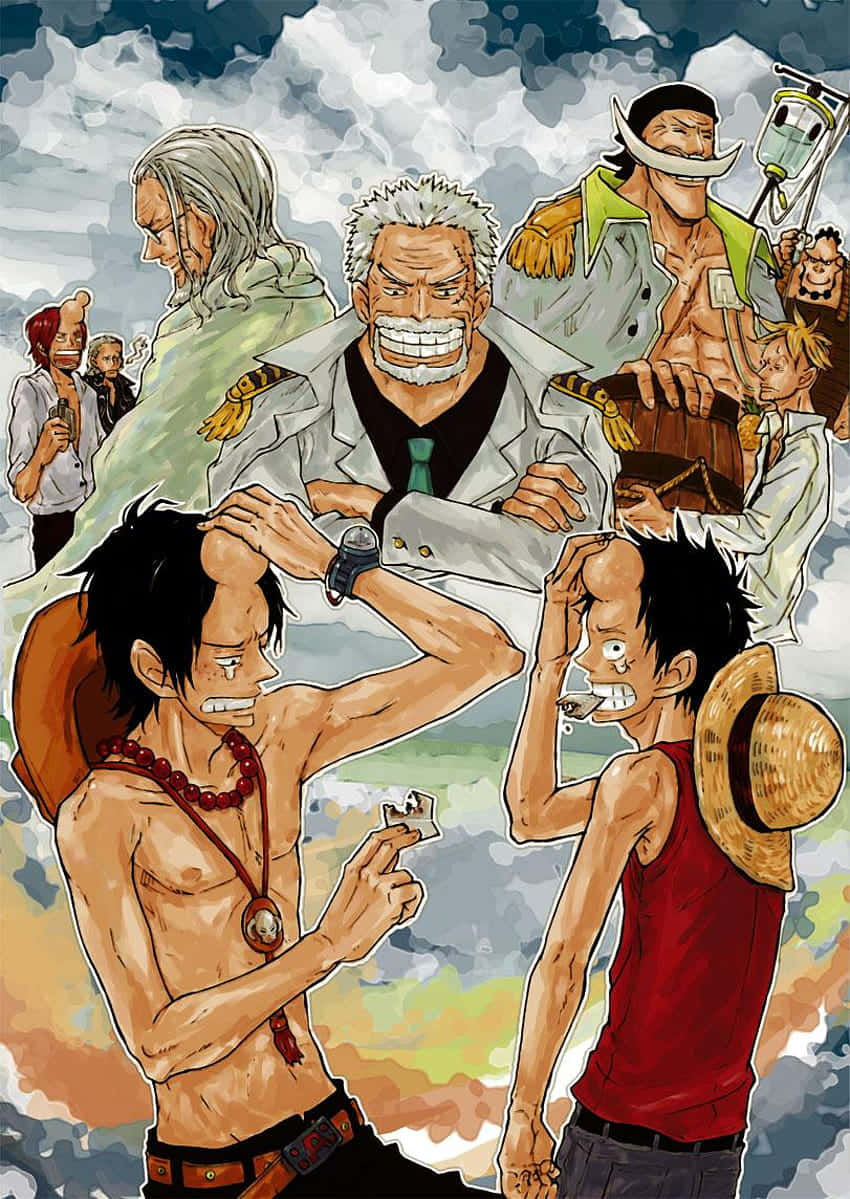 One Piece Characters Gathering Wallpaper