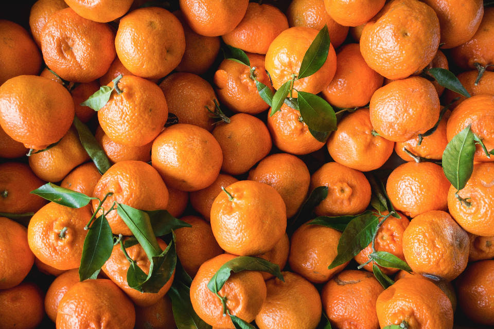 Orange Fruits Wallpaper