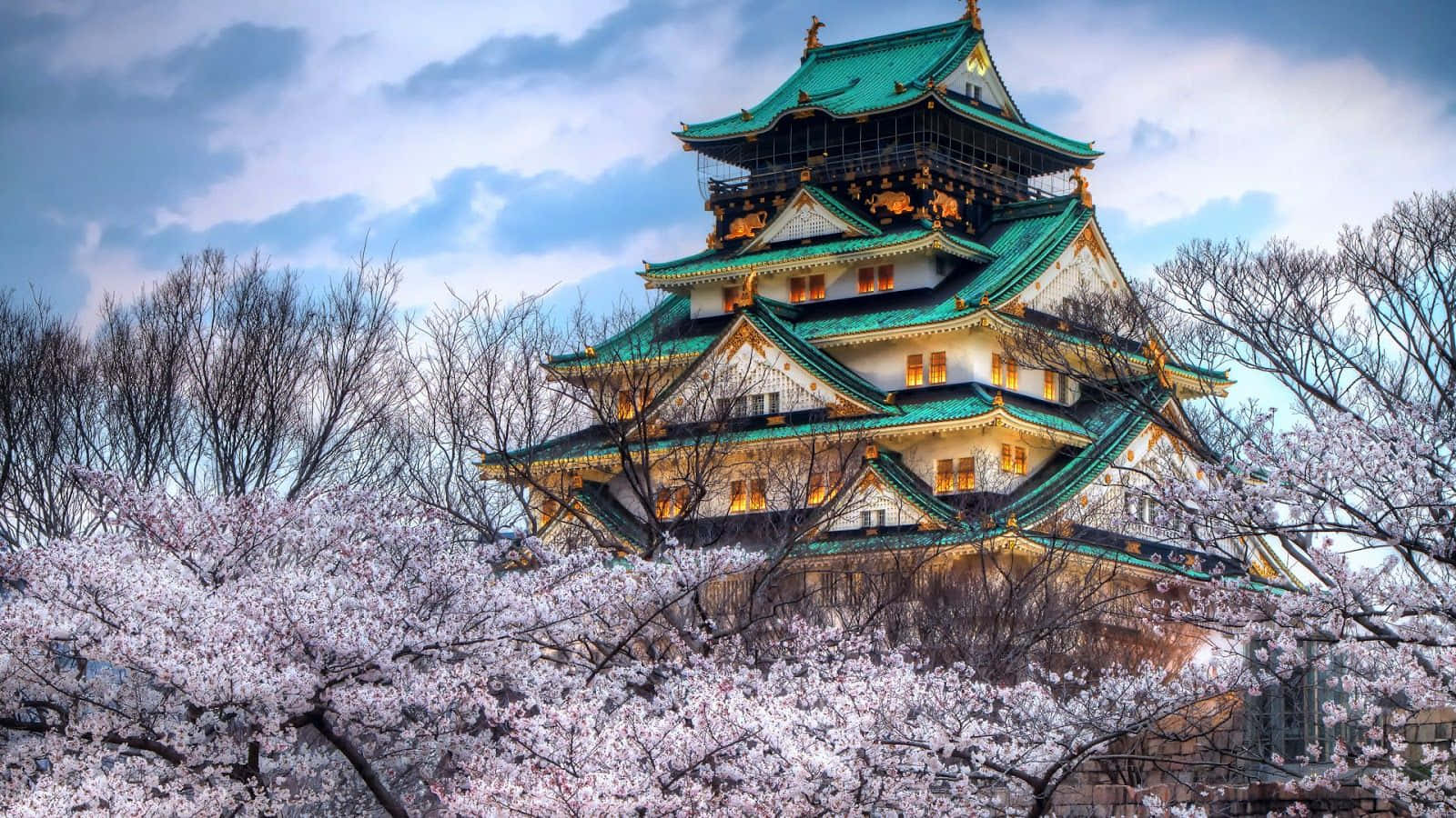 Osaka Castle Cherry Blossoms Springtime Wallpaper
