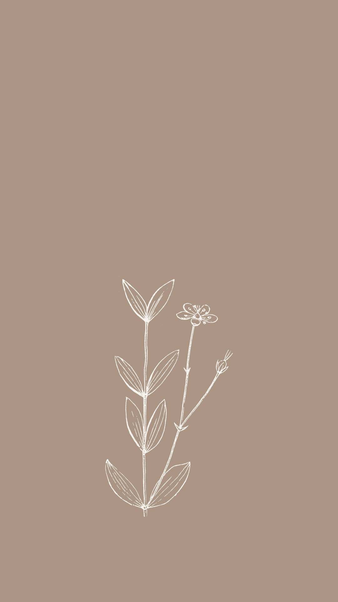 Download free Aesthetic Art Plant Outline Wallpaper - MrWallpaper.com