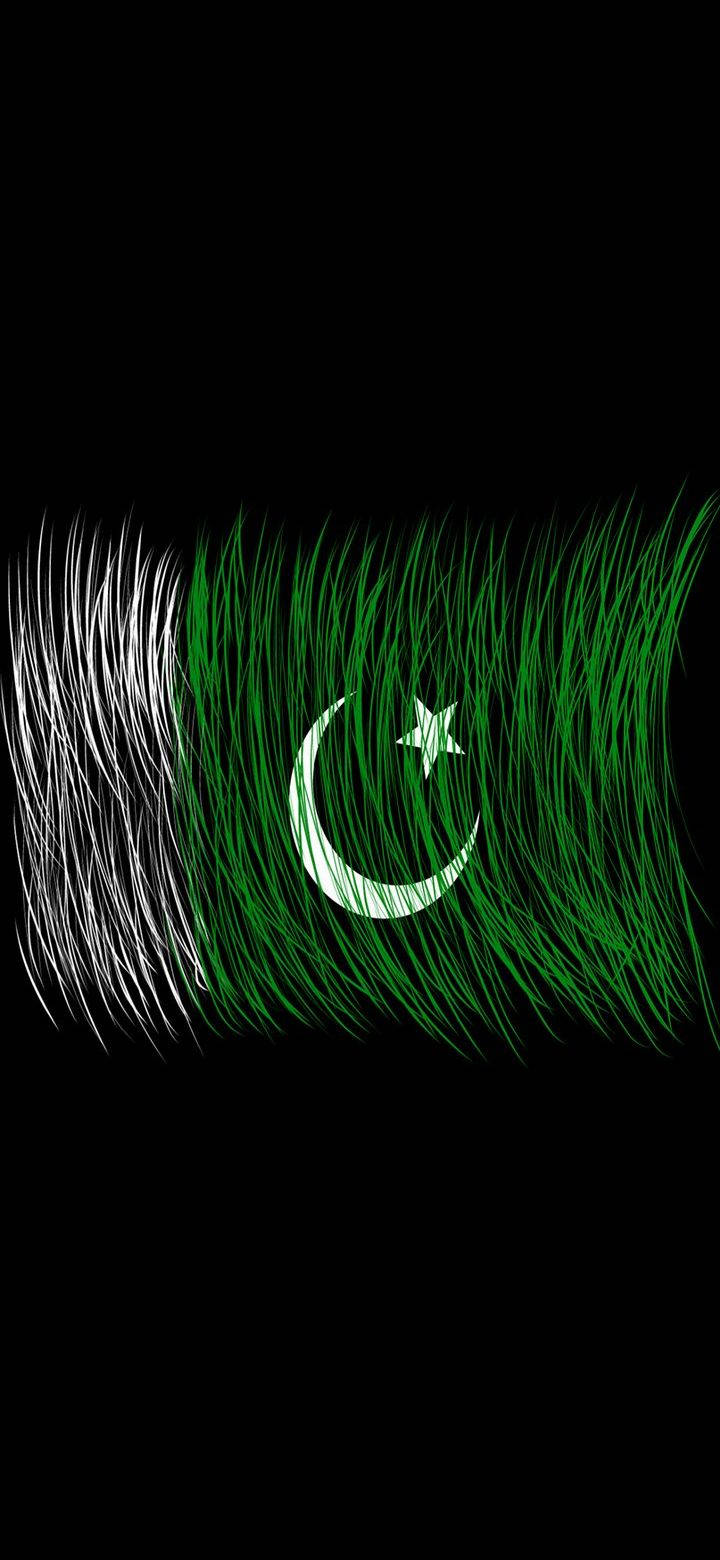 Pakistan and Palestine flags. 3D Waving flag design. Pakistan Palestine  flag, picture, wallpaper. Pakistan vs Palestine image,3D rendering. Pakistan  P Stock Photo - Alamy