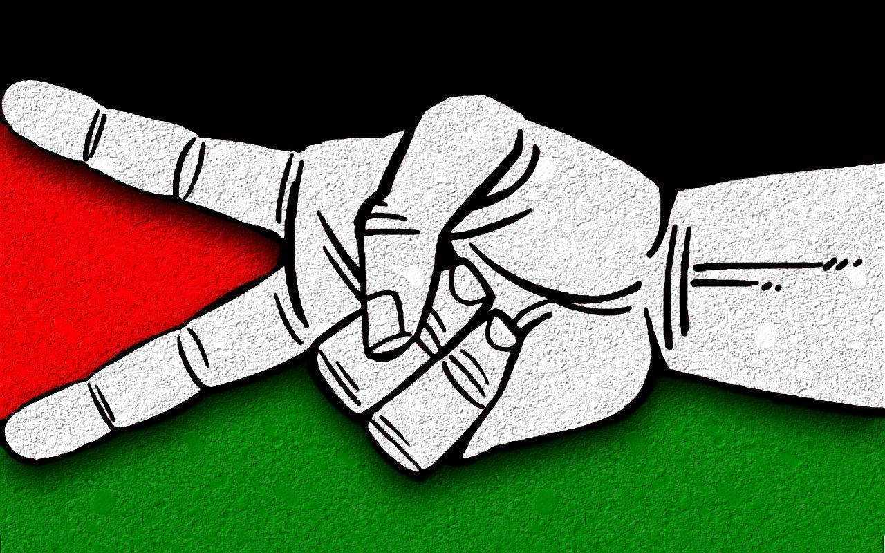 Palestine Flag Peace Sign Wallpaper