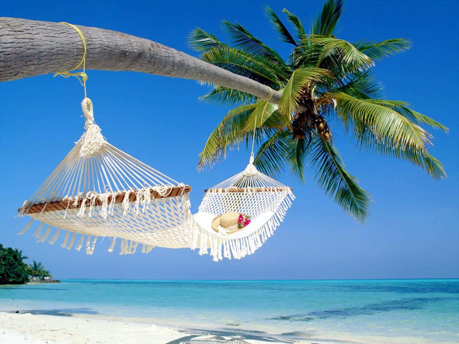 Palm Trees Beach Summer Vacation Hammock Wallpaper