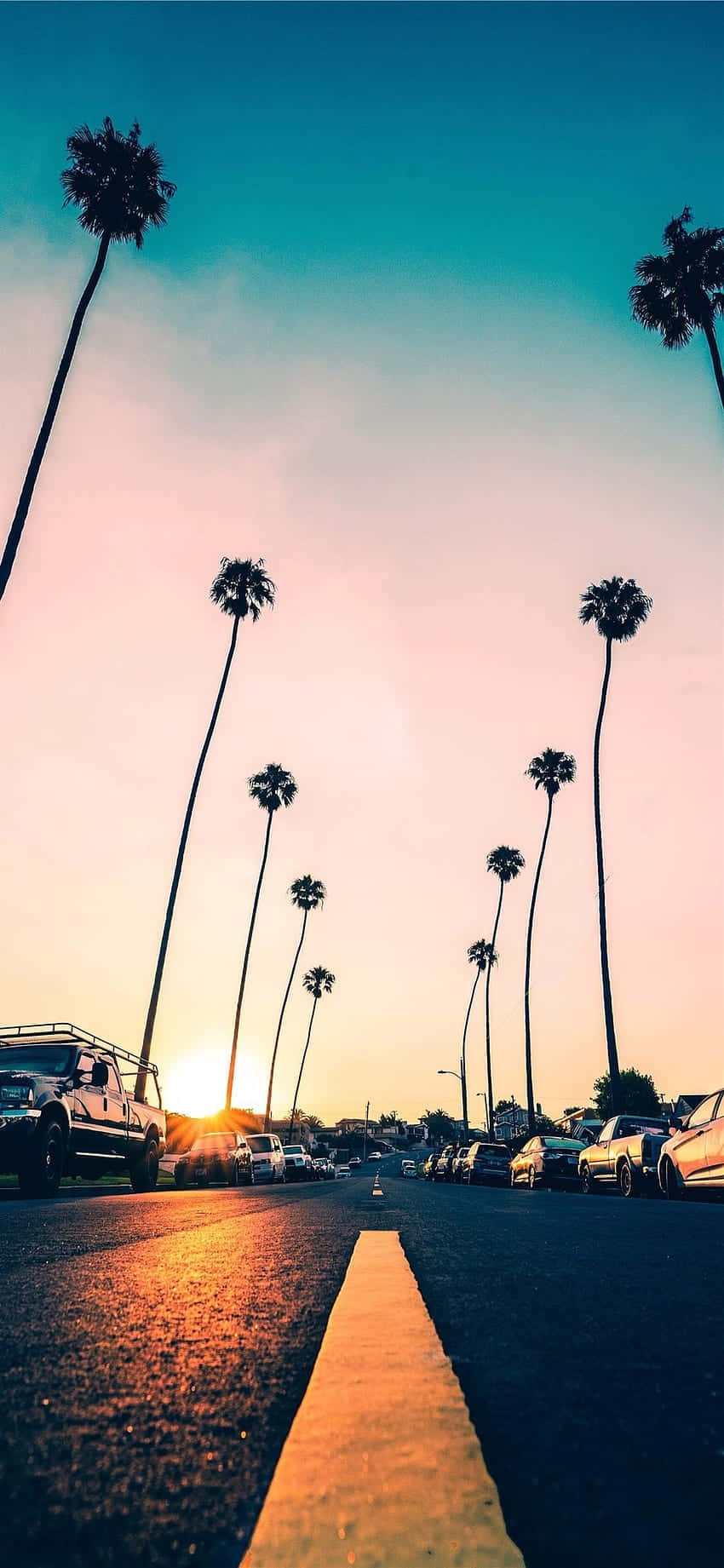 Palm Trees In The Road At Sunset Wallpaper
