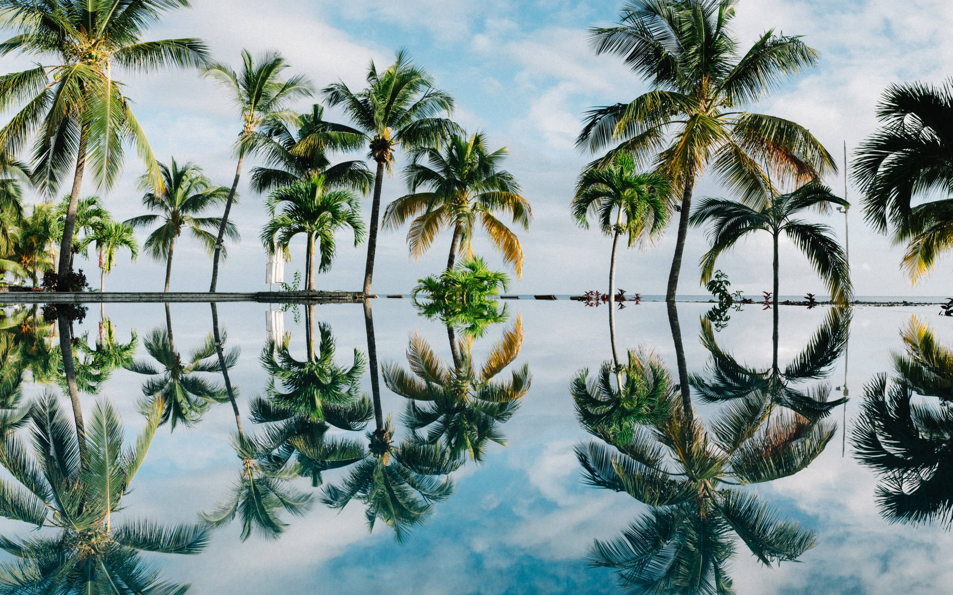 Palm Trees Reflecting On Water Tropical Desktop Wallpaper