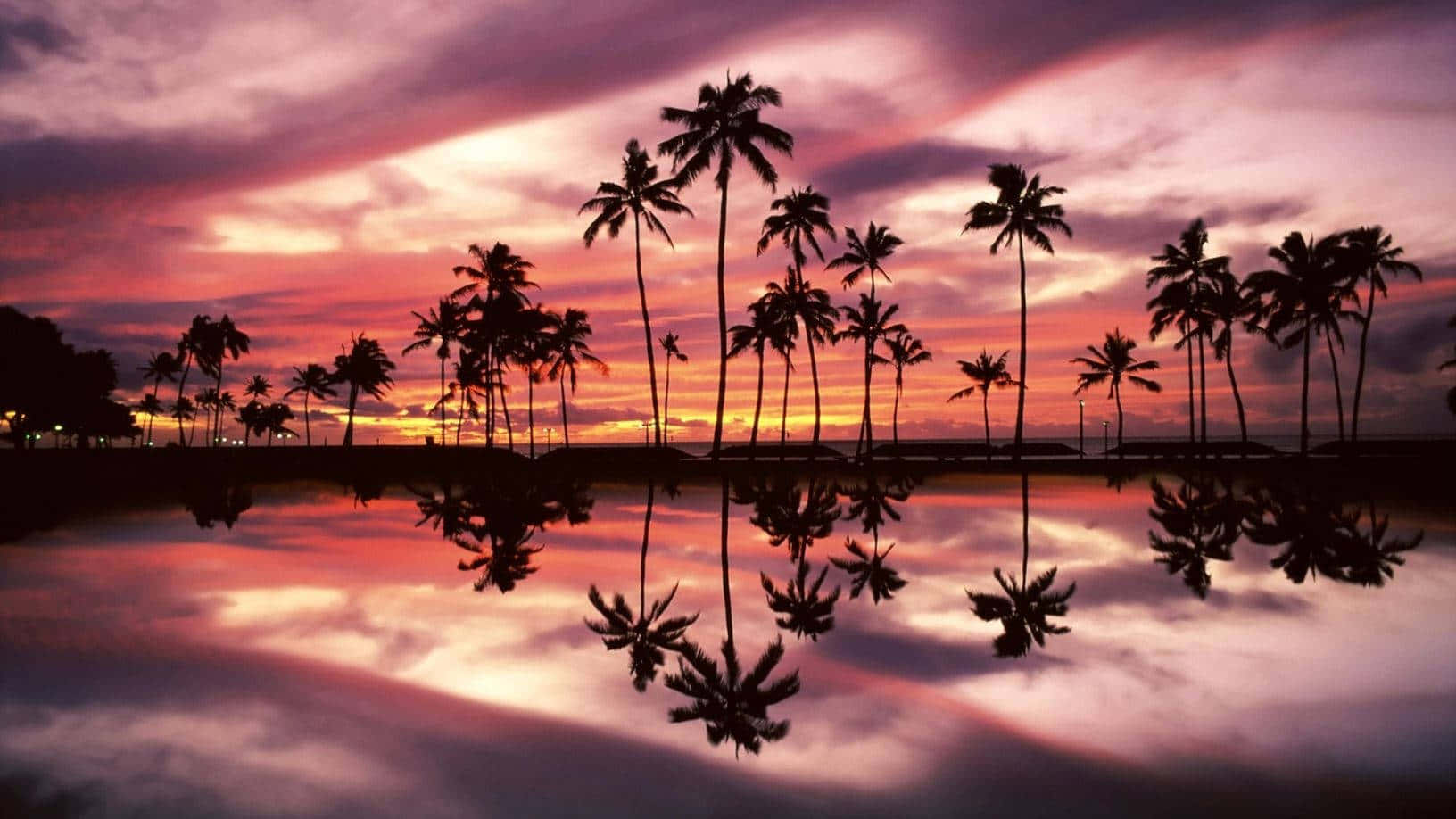 Palm Tress Sunset Aesthetic Hawaii Wallpaper