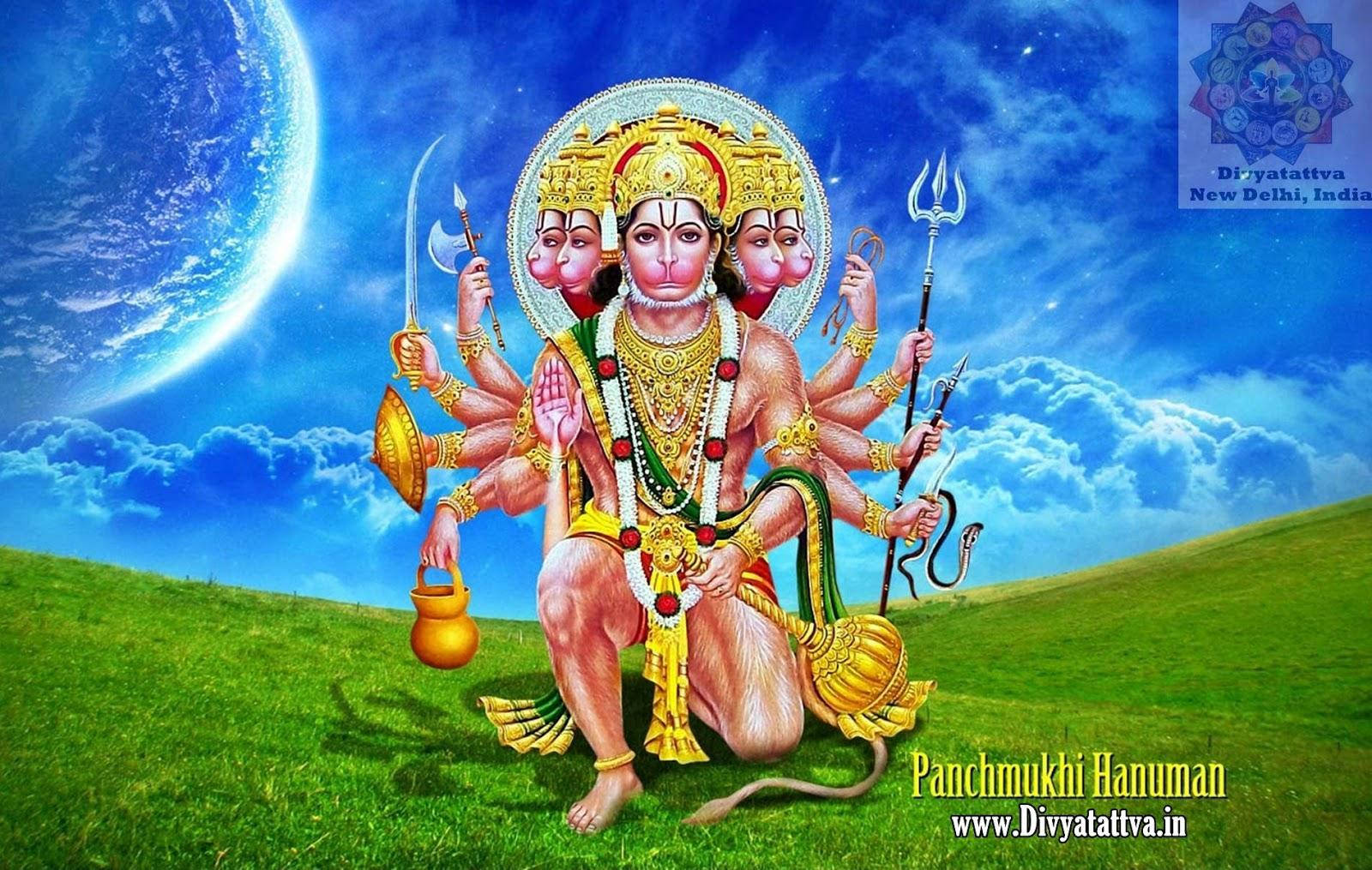 Panchmukhi Hanuman In Grassfield Wallpaper