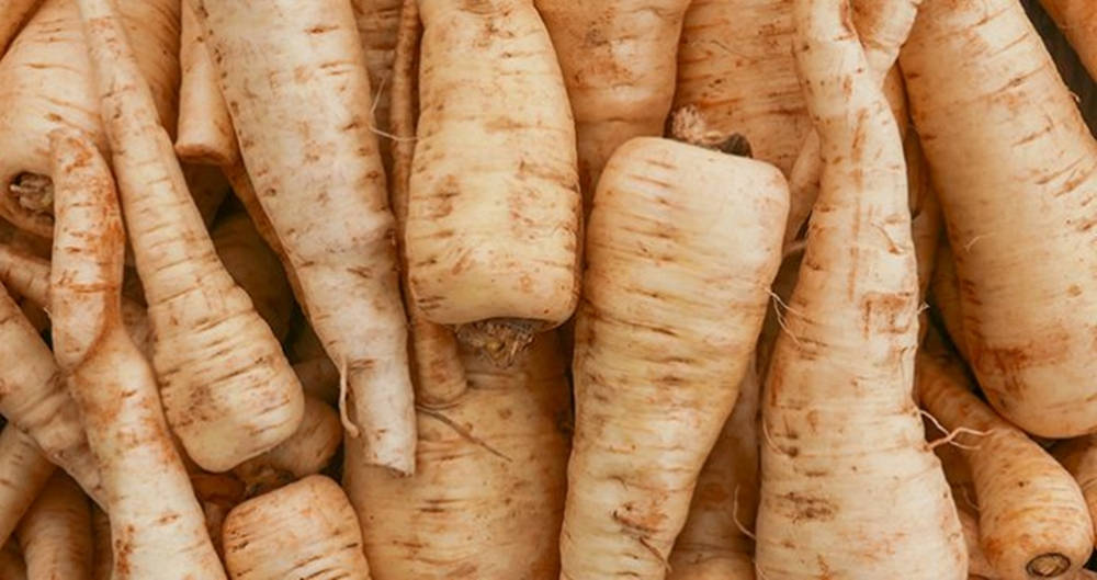 Parsnip Vegetable Root Crops Close Up Pile Wallpaper