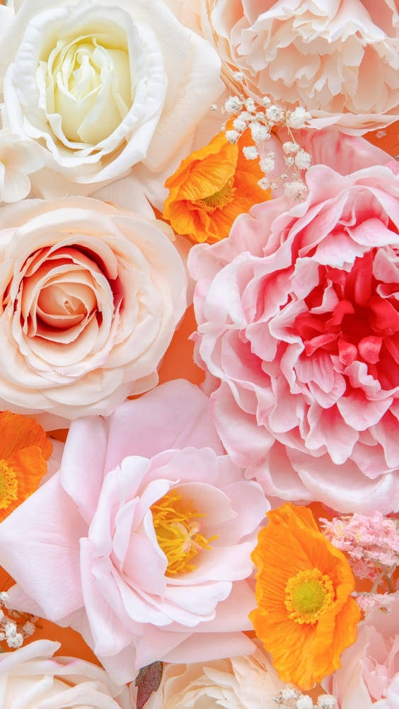 Pastel Blooms Floral Iphone Wallpaper