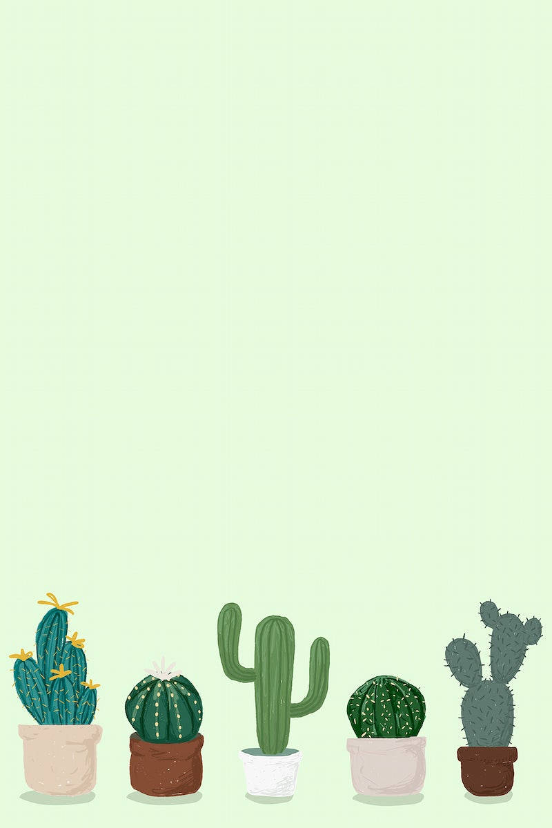 Pastel Cactus Po Light Green Canvas Mobile Wallpaper