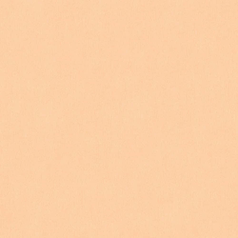 Pastel Orange Light Orange Wallpaper