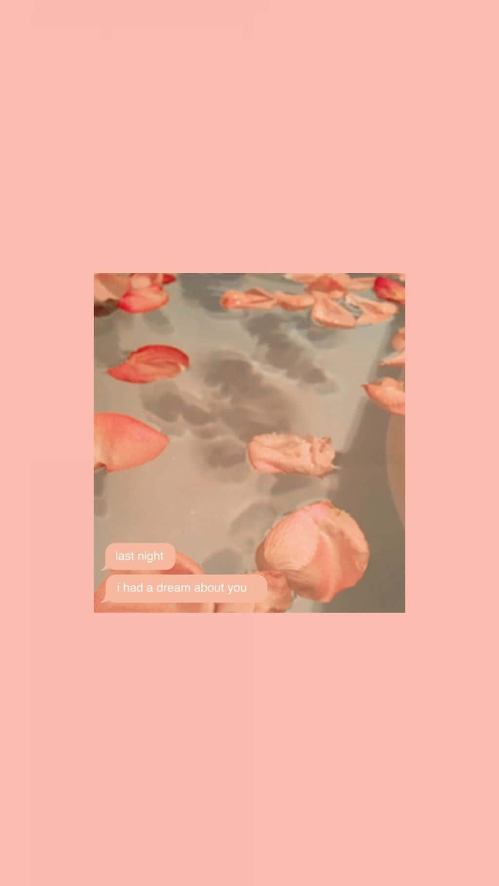 Pastel Peach Water Flower Aesthetic Wallpaper