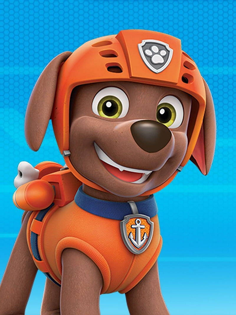 Paw Patrol The Movie Zuma Wallpaper