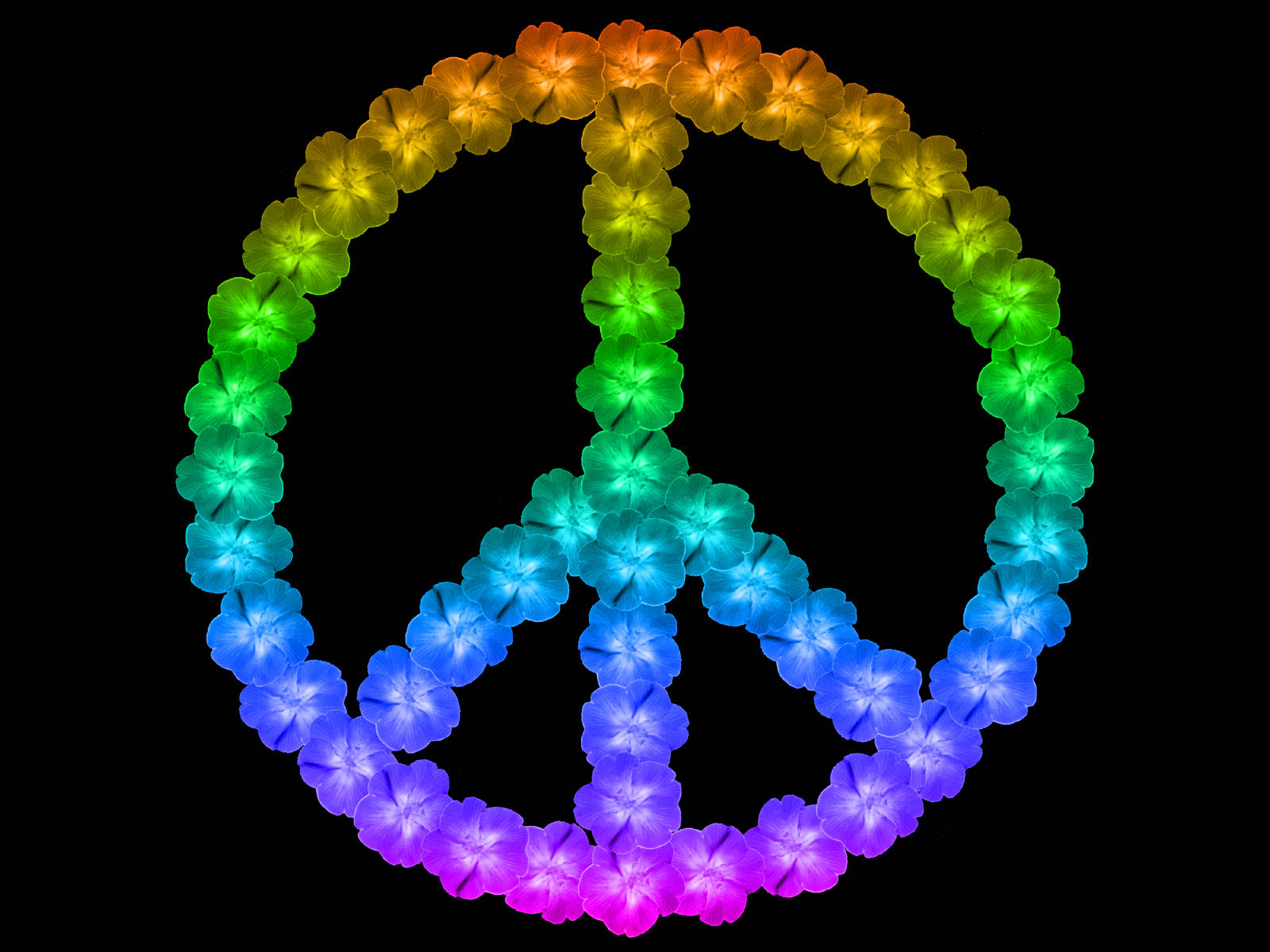 Peace Symbol Rainbow Flowers Wallpaper