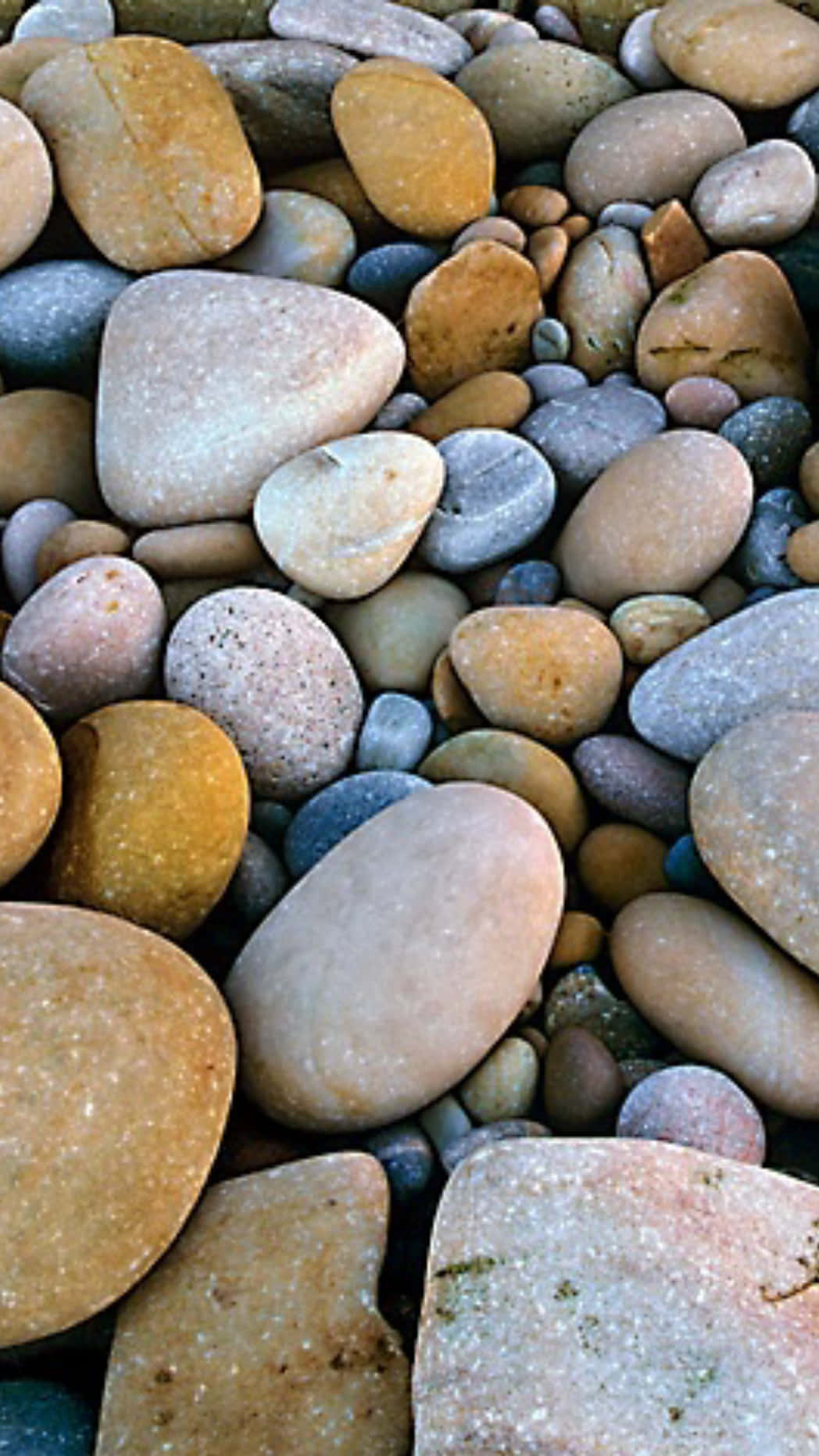 Pebbles By The Shore For Ios 3 Wallpaper