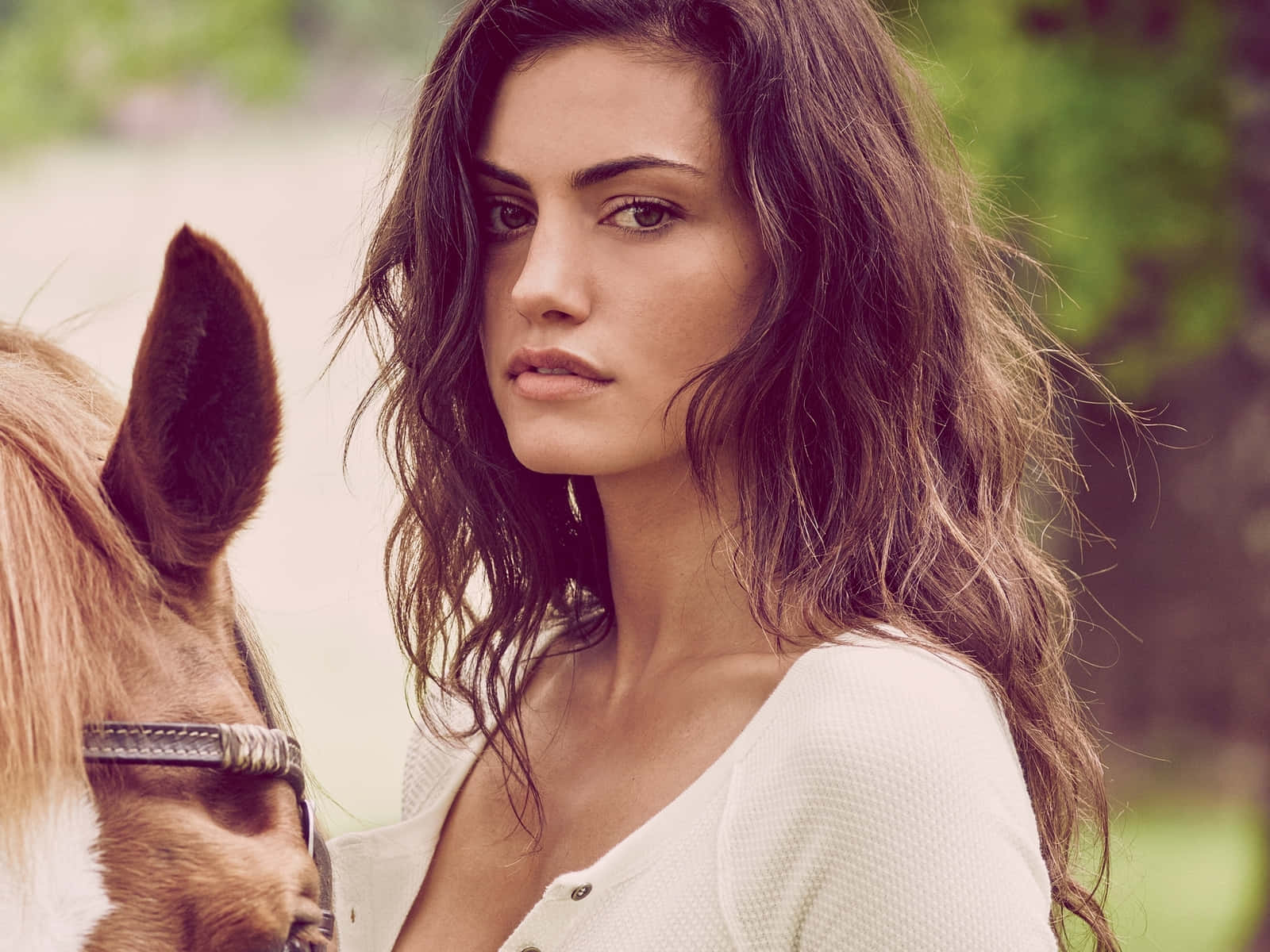 Phoebe Tonkin Equestrian Elegance Wallpaper