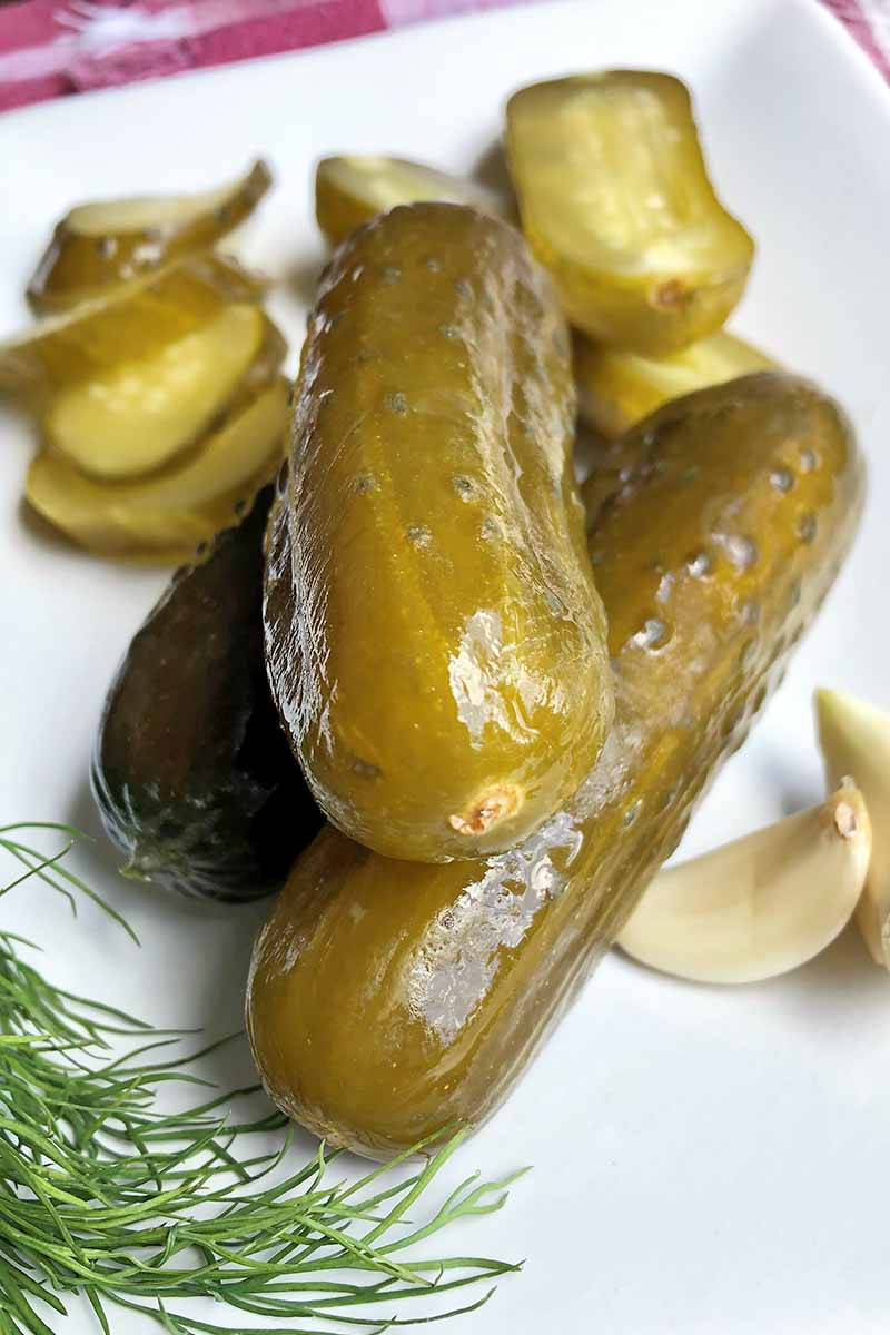 Pickles With Garlic And Dill Wallpaper
