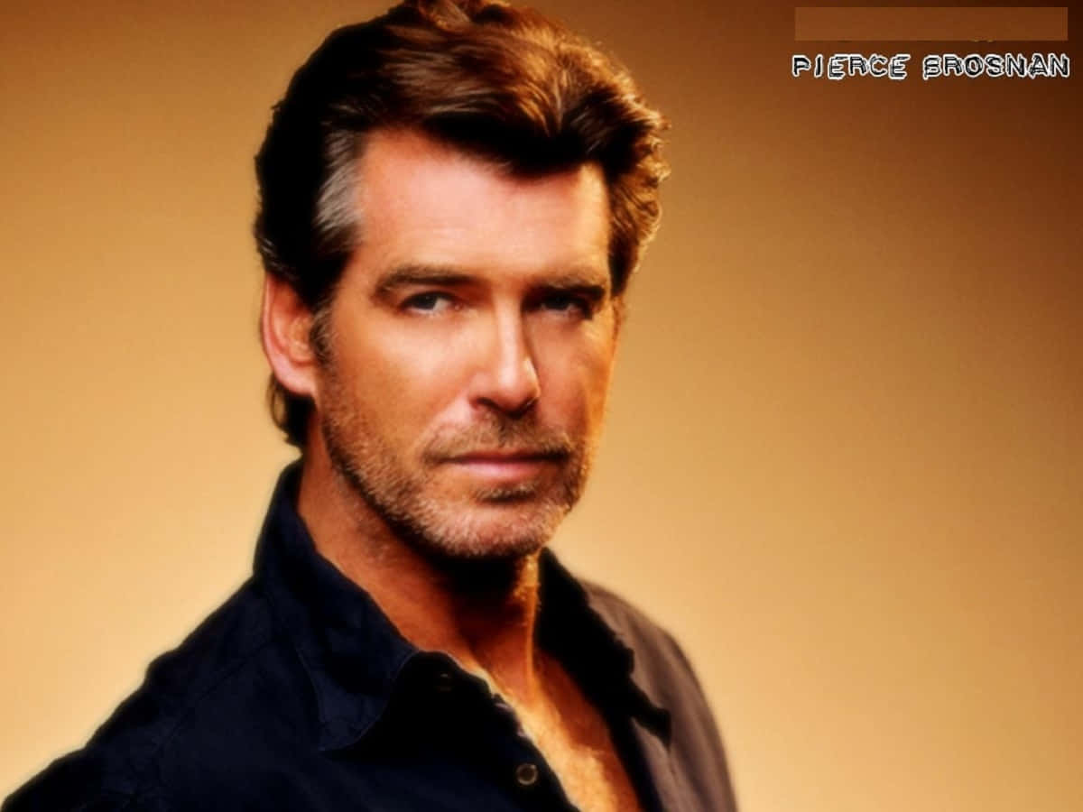 Pierce Brosnan Looking Suave And Stylish Wallpaper
