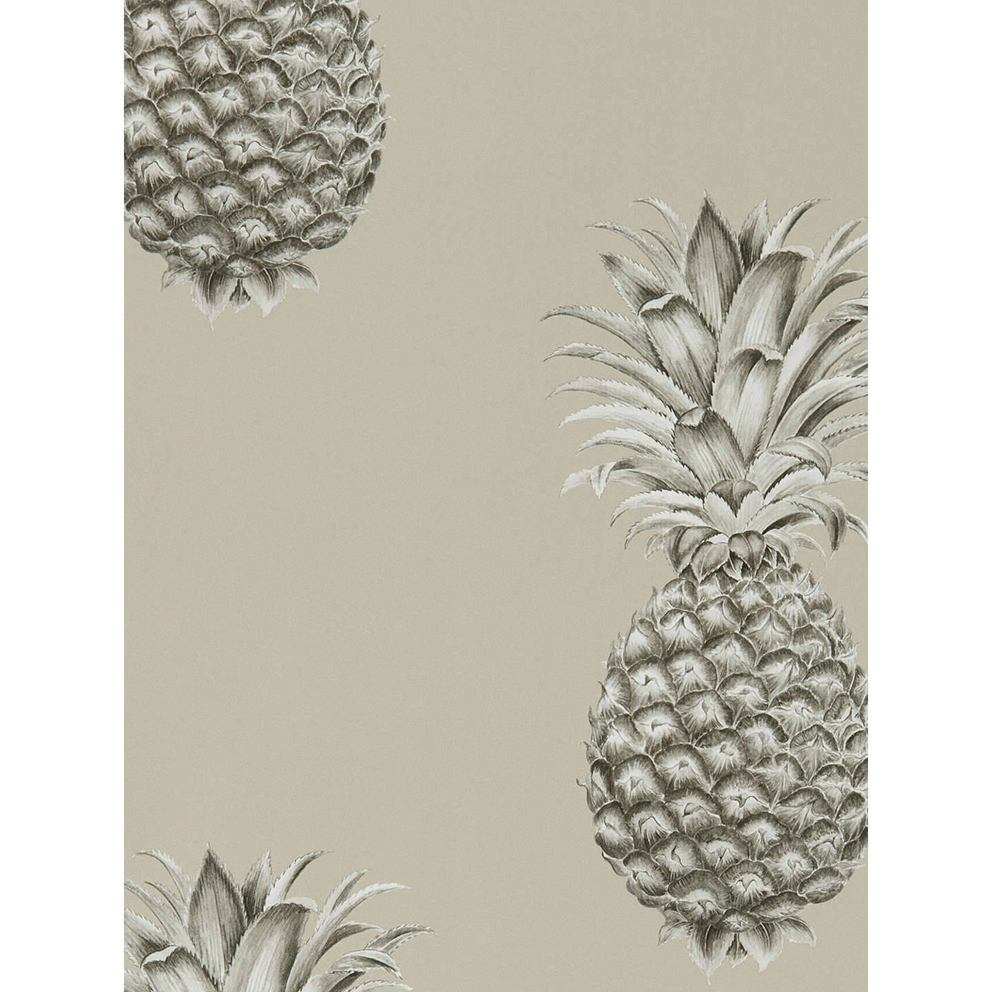 Pineapple Art Light Brown Wallpaper