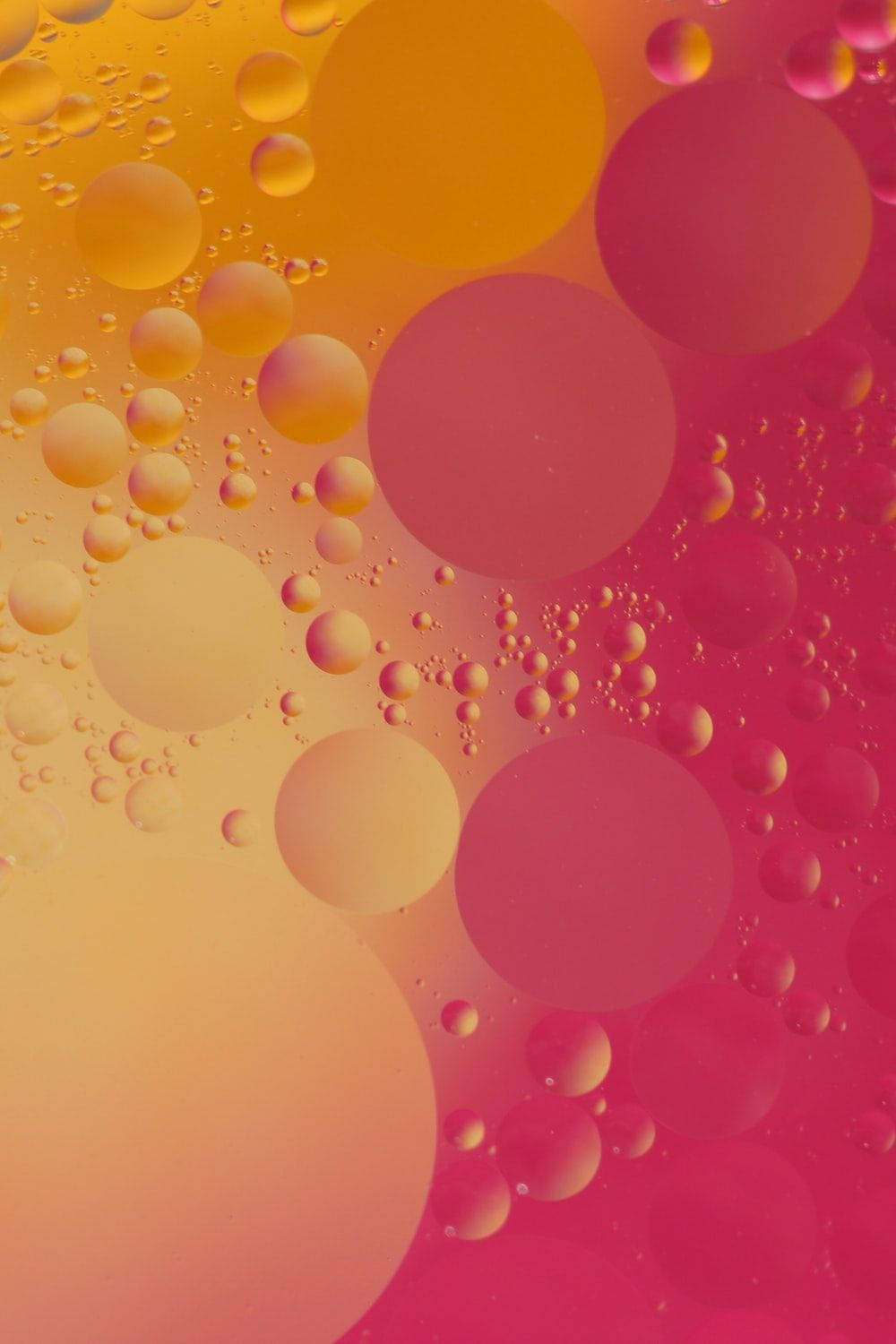 Pink And Orange Circle Bubbles Wallpaper
