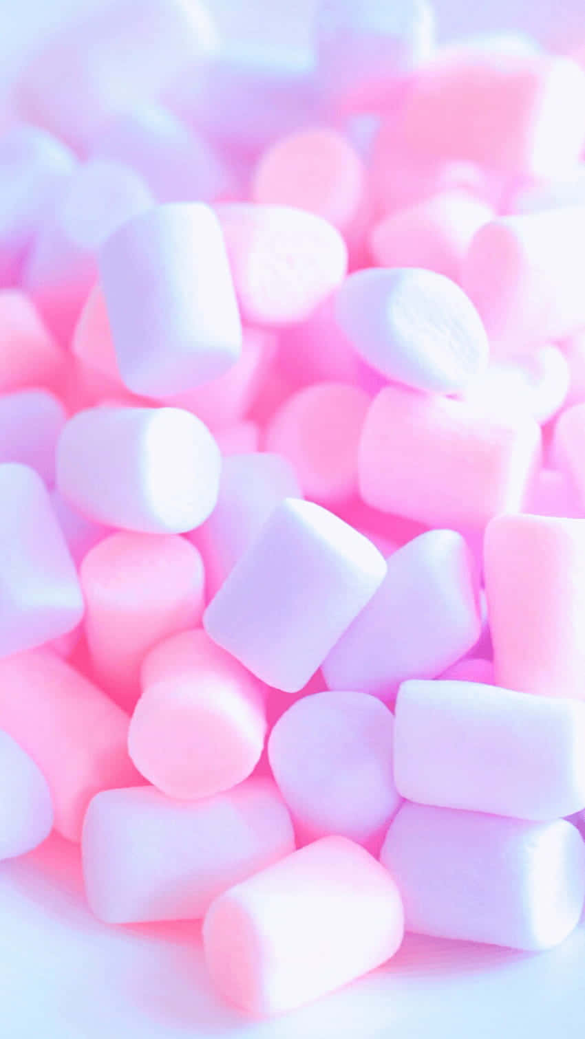 Pink And White Marshmallows On A White Plate Wallpaper