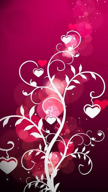Pink Backdrop For Girl Phone Wallpaper