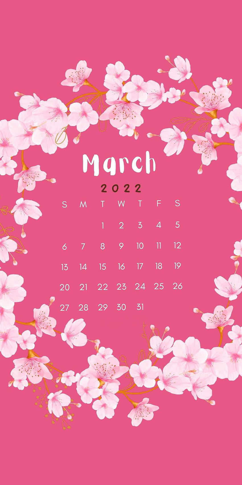 Pink Cute March Wallpaper