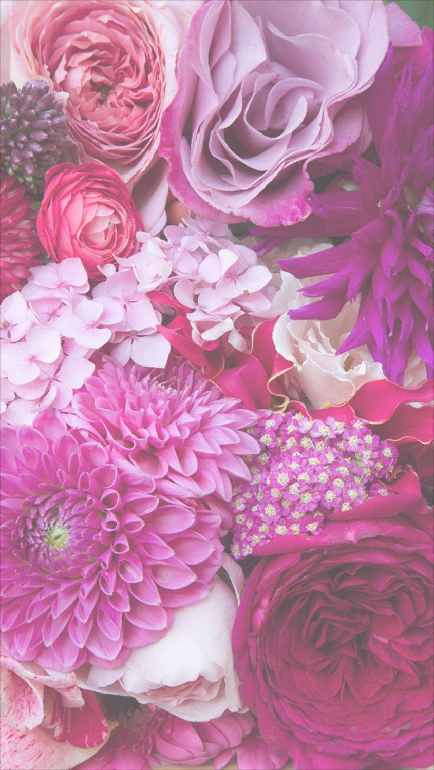 Pink Dahlia And Roses Floral Iphone Wallpaper