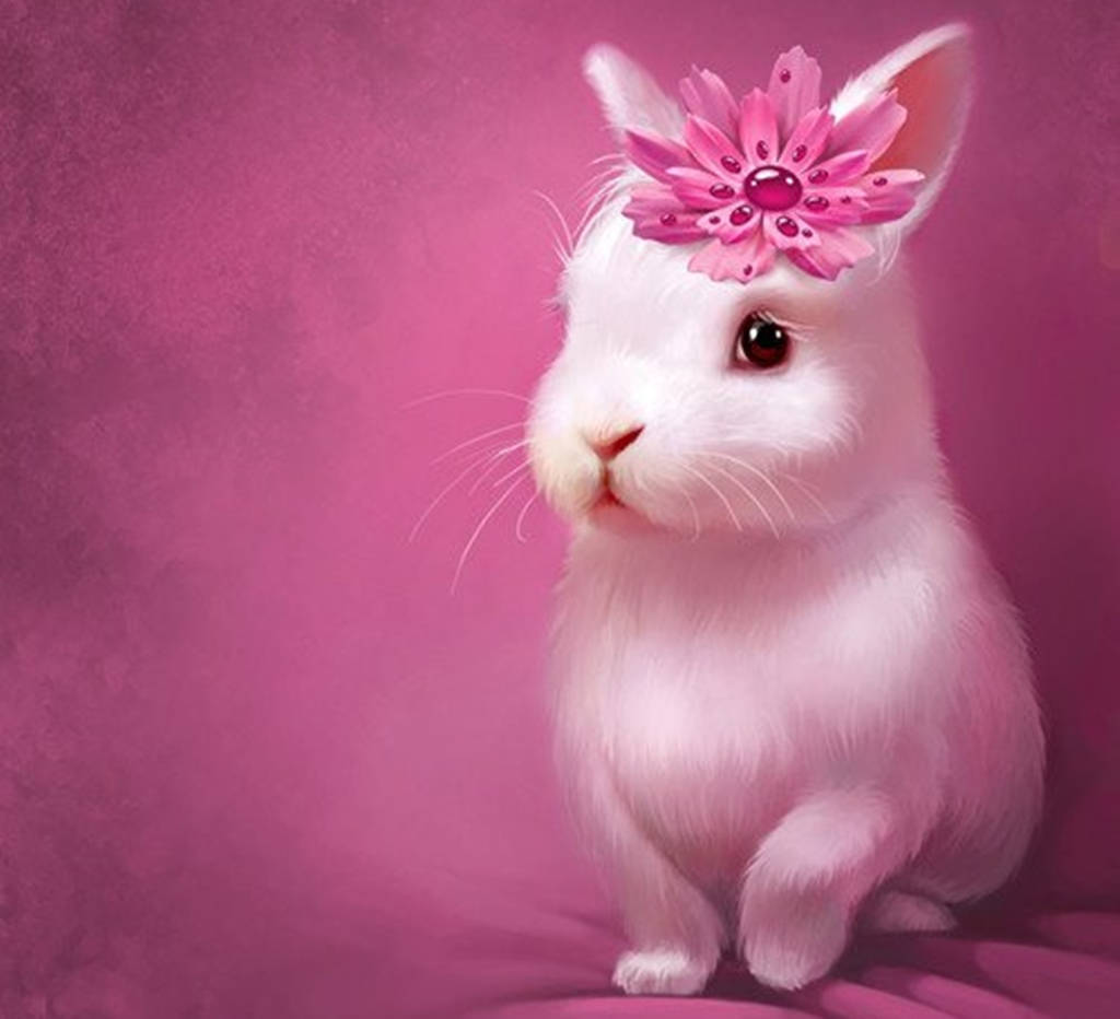 Pink Flower And White Rabbit Wallpaper