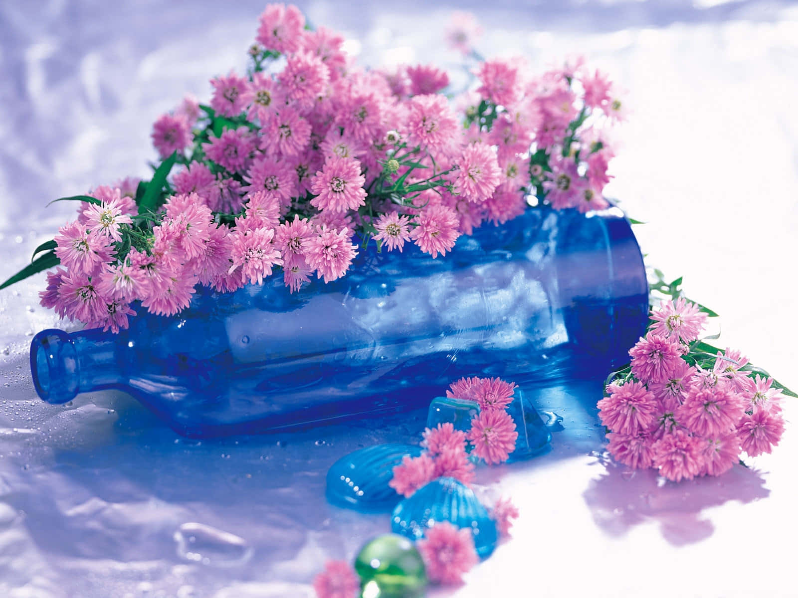 Pink Lilac Color Flowers Blue Bottle Wallpaper