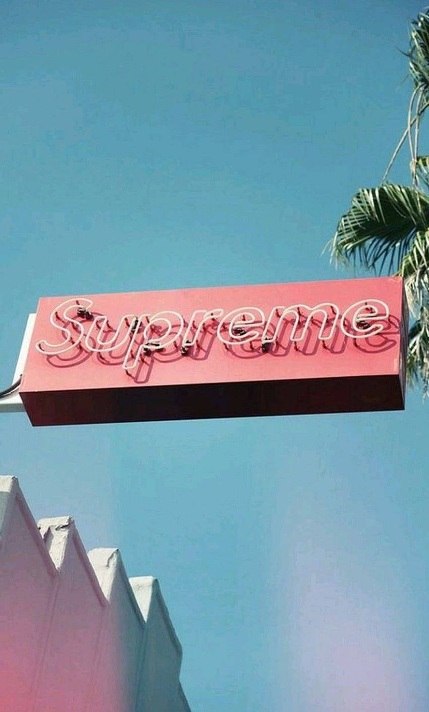 Pink Neon Supreme Aesthetic Sign Wallpaper