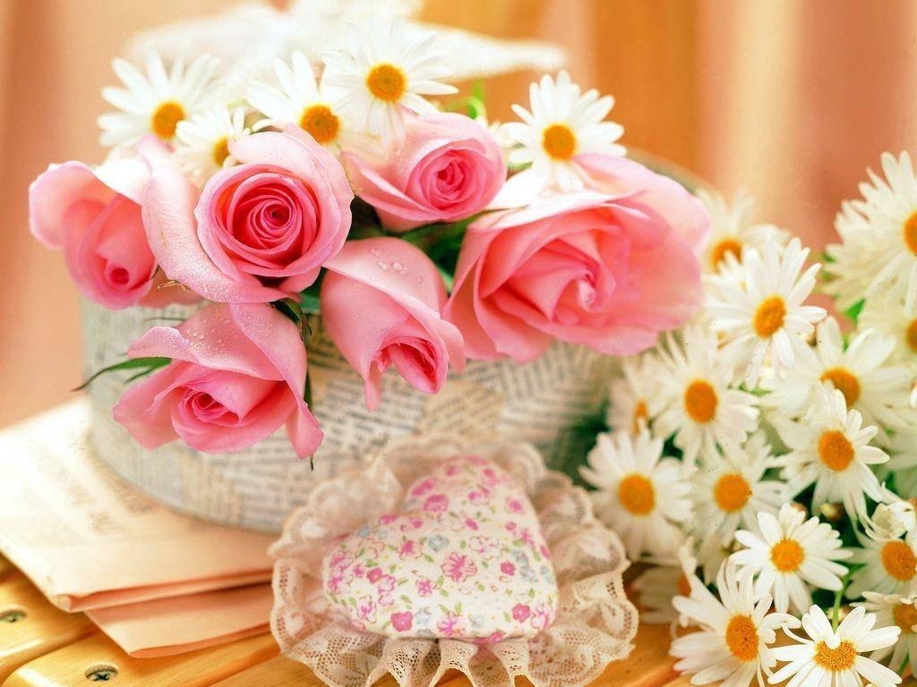 Pink Roses And Daisies Wallpaper