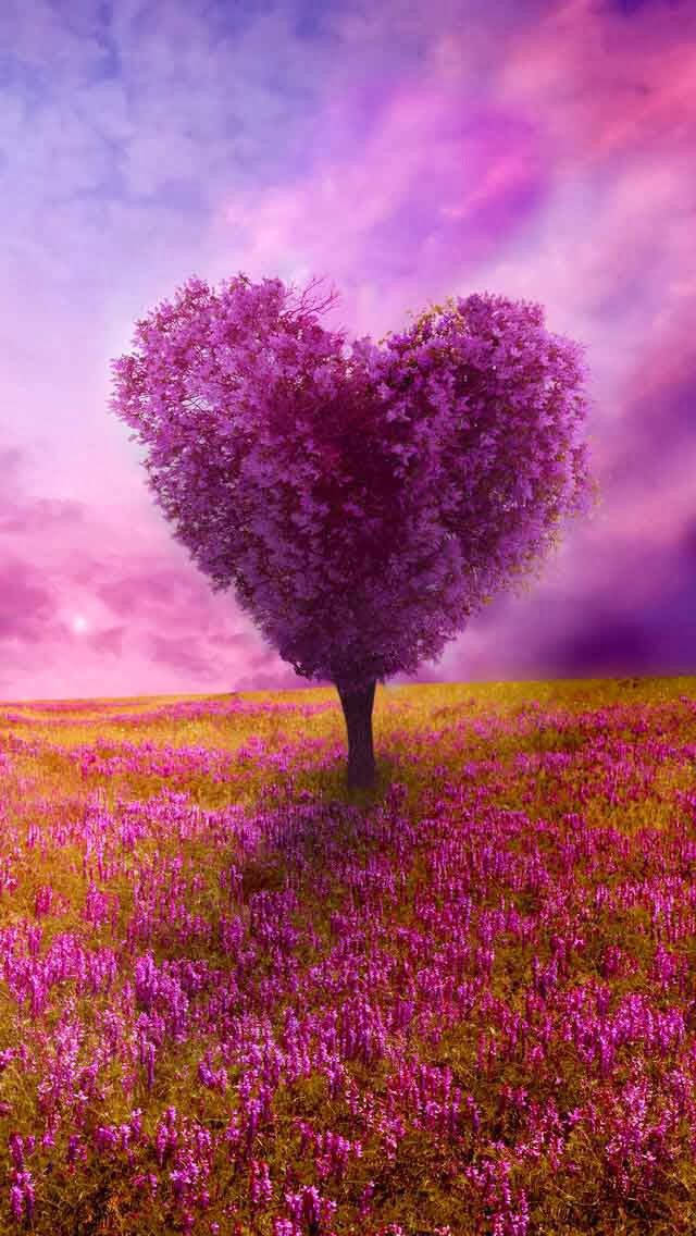 Pink Tree And Sky Nature Love Wallpaper