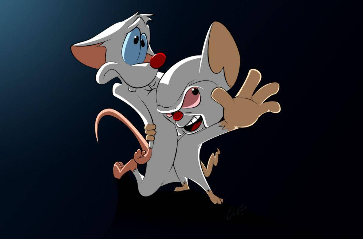 Pinky And The Brain American Tv Wallpaper