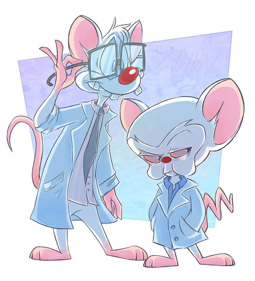 Pinky And The Brain Doctor Gown Wallpaper